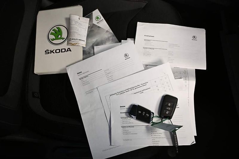 Škoda Kodiaq (2022) 2.0 DSG Matrix LED ACC Tažné K - fotka 27 z 36