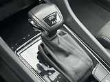 Škoda Kodiaq (2020) 2.0 TDI 4x4 DSG Style + - náhled 15