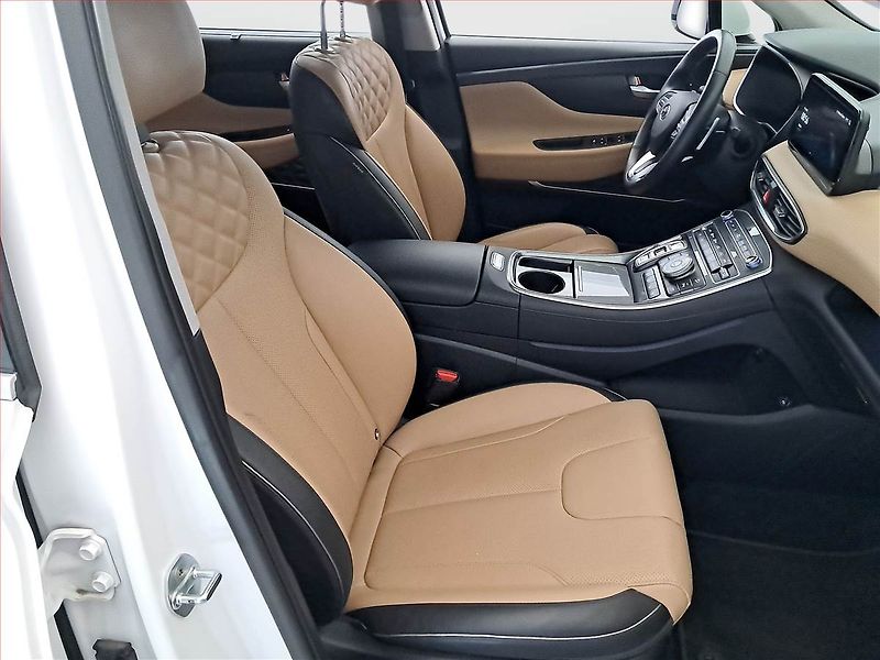 Hyundai Santa Fe (2022) Premium 2.2 CRDi - fotka 9 z 23