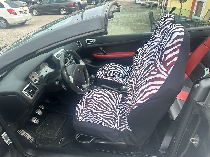 Peugeot 307 2.0HDi Kabriolet/Tempomat/Navi - fotka 17 z 31