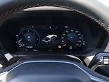 Volkswagen Amarok 3.0 TDi PanAmericana 10AUT 4x4 - náhled 21