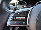 Kia Ceed (2019) 1.6 CRDi, ČR, AC, tempo - náhled 13
