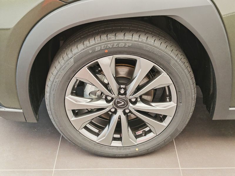 Lexus UX 300h F Sport Design 300H - fotka 10 z 33