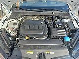 Škoda Octavia (2023) 2.0TDi 110kW 4x4 DSG ČR DPH - náhled 17