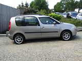 Škoda Roomster (2008) 1.9 TDI 77kW  BEZ DPF - náhled 10