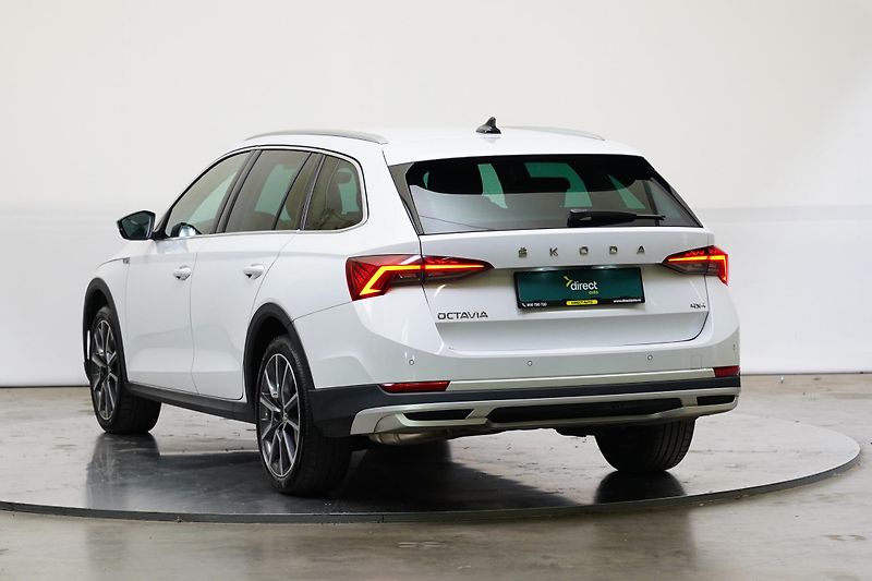 Škoda Octavia - fotka 7 z 29