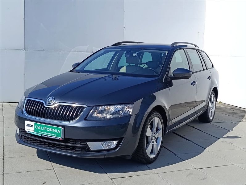 Škoda Octavia 1,6 TDi 4x4 Navi,Kůže,Aut.klim - fotka 2 z 36