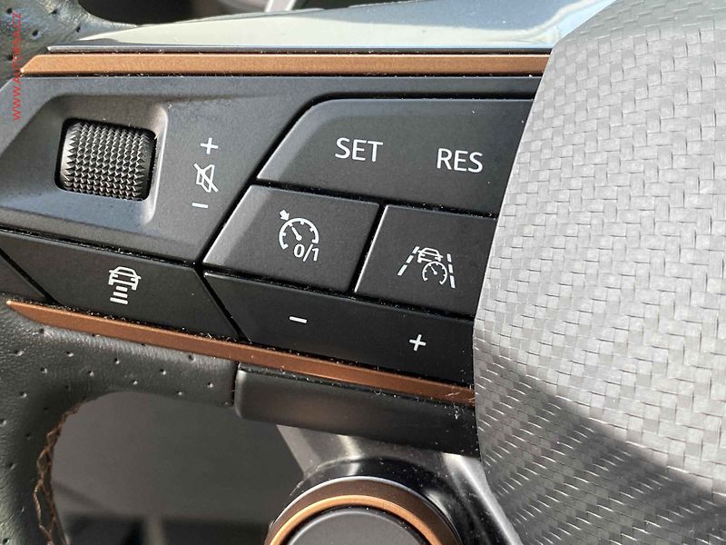 Cupra Formentor (2021) 2.0 TSi 4Drive, DSG, navi, - fotka 16 z 21