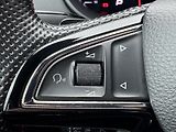 Škoda Octavia (2019) 2.0TSi 245 RS, DSG, PANO   - náhled 21