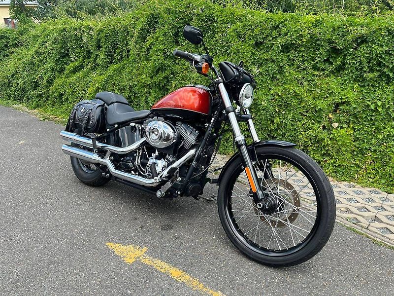 Harley-Davidson FXS 1600 Softail Blackline (2011) - fotka 1 z 15