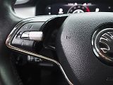 Škoda Kodiaq (2021) 2.0 TDI, 4x4, DSG - náhled 21