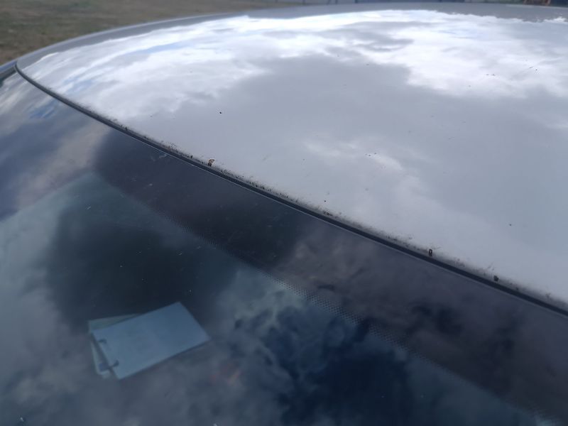 Škoda Octavia III 1.6 TDI - fotka 22 z 45