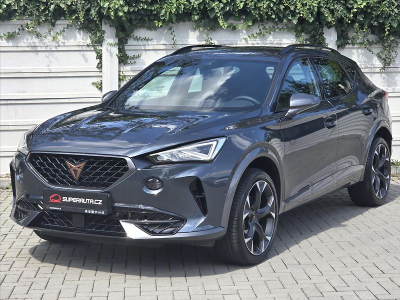 Cupra Formentor 2,0 TSi DSG 4x4 Záruka2029 ČR - fotka 3 z 22