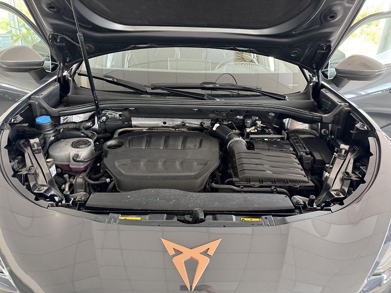 Cupra Terramar 2,0TSI VZ 265*4x4*DPH*5Let*Zár - fotka 37 z 37