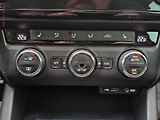 Škoda Octavia (2014) 2.0 TDi, Bixen, navi, park - náhled 13