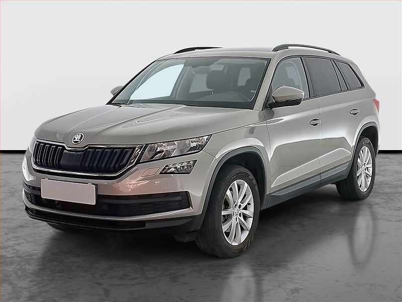 Škoda Kodiaq (2018) Ambition 2.0 TDI 4x4 - fotka 2 z 20