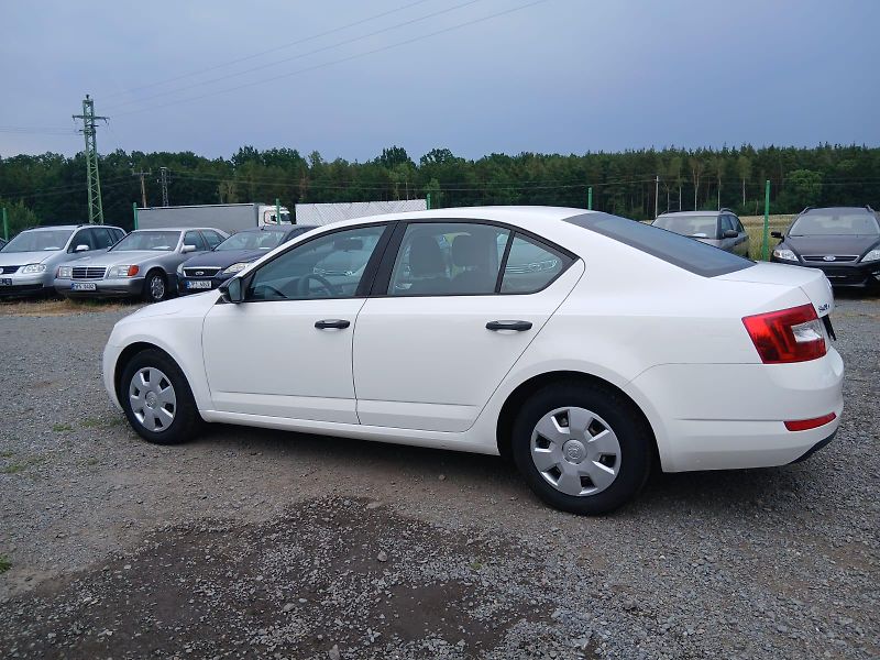 Škoda Octavia 1.6 TDI, bez koroze - fotka 18 z 39