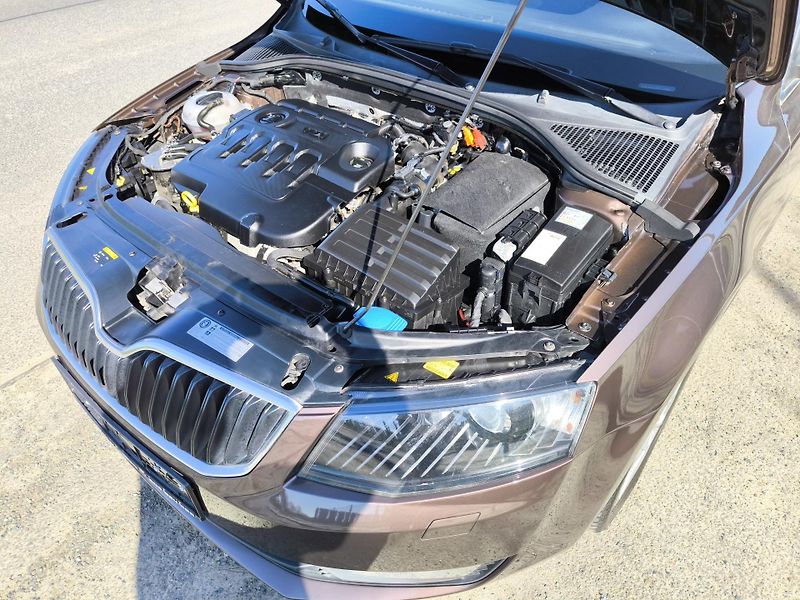 Škoda Octavia (2014) 1,6TDI DSG STYLE*VELKÝ SERVIS* - fotka 47 z 58