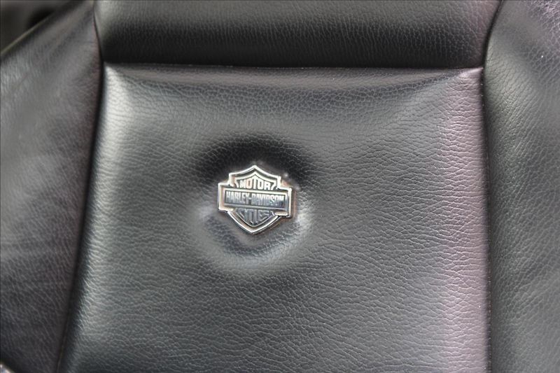 Ford F-250 6.0L TD V8/SUPER-DUTY/H.DAVIDS - fotka 15 z 43