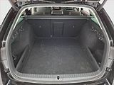 Škoda Octavia (2021) Scout 2.0 TDI - náhled 14