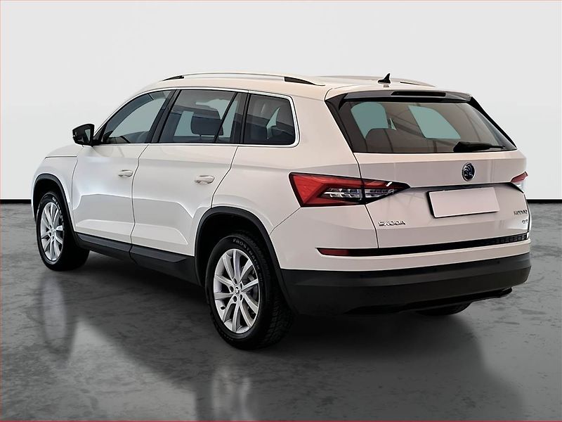 Škoda Kodiaq (2018) 2.0 TDI 4x4 - fotka 4 z 19