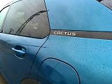 Citroën C4 Cactus.