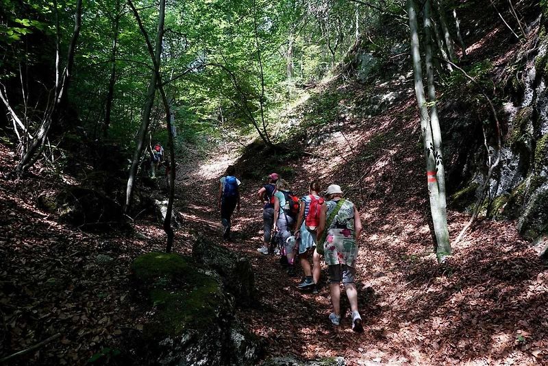 Súľovské skály se nacházejí přibližně 10 kilometrů od města Bytča a 25 kilometrů od Žiliny.