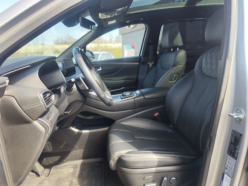 Hyundai Santa Fe 2.2 CRDi/142kW Luxury PNM DCT - fotka 18 z 39