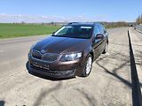Škoda Octavia (2014) 1,6TDI DSG STYLE*VELKÝ SERVIS* - náhled 1