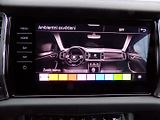 Škoda Kodiaq (2022) 2.0TDI/4x4/DSG/Full-LED/NAVI/ - náhled 34