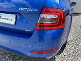 Škoda Octavia 2.0TDi L+K CZ WEBASTO 4x4 - náhled 44