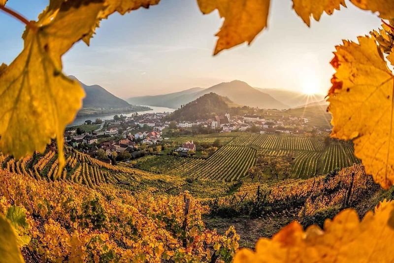 Jedno z nádherných městeček v údolí Wachau – Dürnstein.