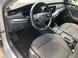 Škoda Octavia (2023) 2.0TDI 110kW DSG 4X4 EL.TZ - náhled 21