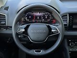 Škoda Karoq 2.0TDi DSG 4x4 150PS Matrix-LE - náhled 20