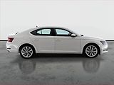 Škoda Superb (2019) 2.0 TDI, 4X4, Automat - náhled 6