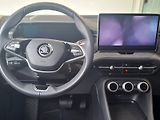 Škoda Kodiaq (2024) EXLUSIVE SELECTION 4X4 TD 142/ - náhled 15