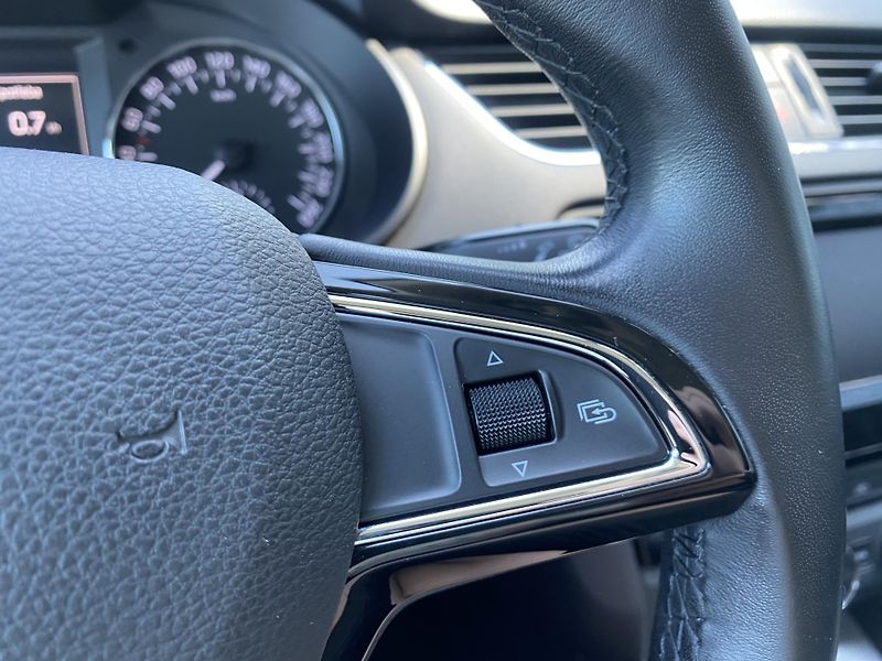 Škoda Octavia 1.4 TSI 103kW - 1xMAJ.-ALU-PDC - fotka 20 z 42