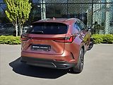 Lexus NX 350h 2,5 Executive Top - náhled 11