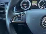 Škoda Kodiaq 2,0 TDI 110kW Style DSG 4x4 - náhled 23