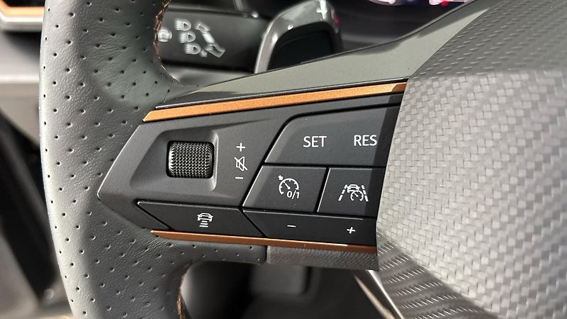 Cupra Formentor 2.0 TSI DSG 4Drive - fotka 14 z 29