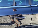 Volkswagen Tiguan 2.0TDi 4x4 135PS GOAL PĚKNÝ!!! - náhled 29