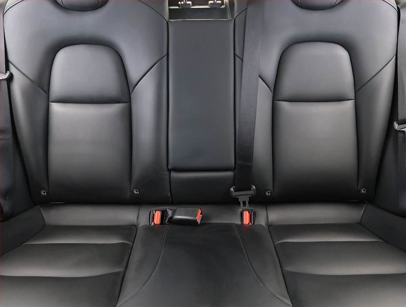Tesla Model 3 (2021) Std Range Plus LFP, SoH 93% - fotka 10 z 33