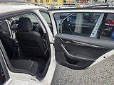 Škoda Octavia 2.0 TDI DSG 4x4 Led kei - náhled 14