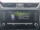 Škoda Superb (2021) 2.0TDi, ČR, Scout, DSG, LED - náhled 16