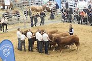 Argishow 2026 na brněnském výstavišti, den první.