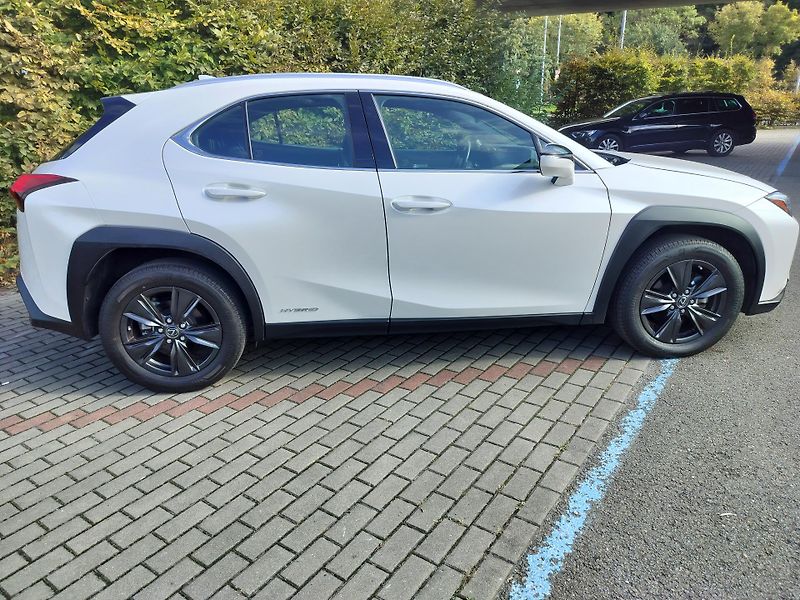 Lexus UX 250h black-white edition, kůže - fotka 8 z 25