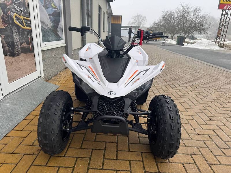 Linhai (2026) ATV 110 - fotka 3 z 5