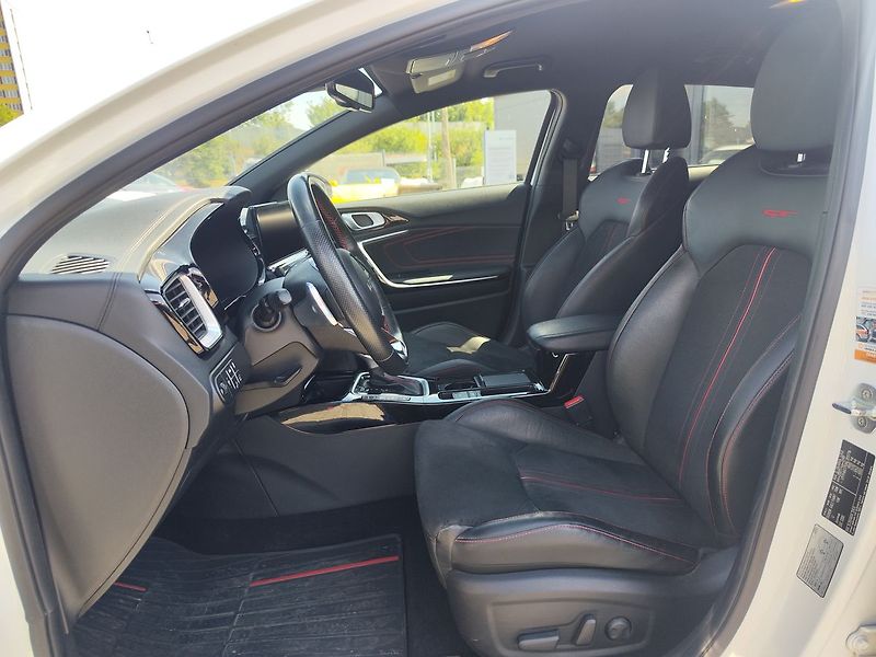 Kia Pro_Ceed 1.6 T-GDi/150kW GT DCT - fotka 16 z 39