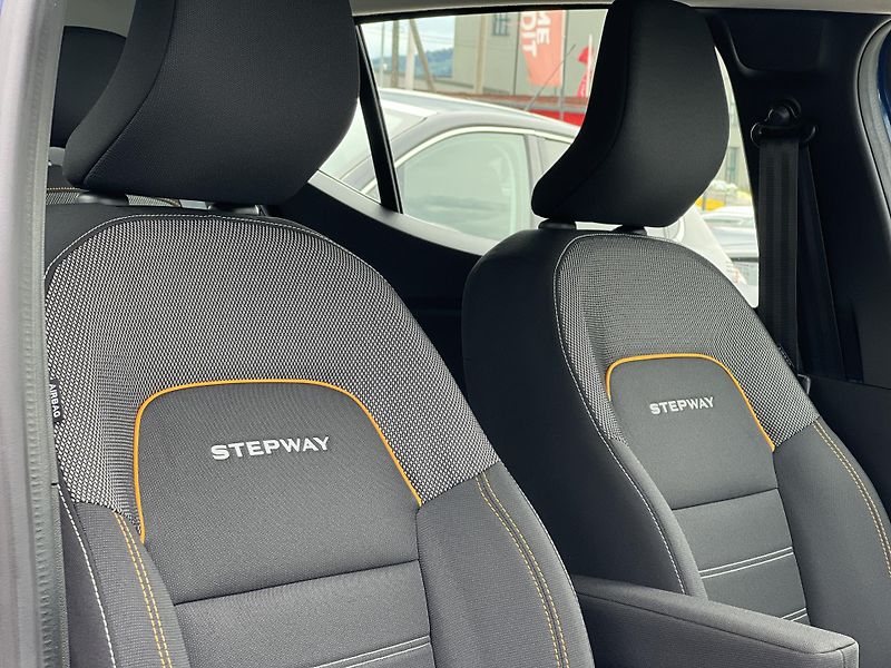 Dacia Sandero Stepway 1.0TCe LPG ČR 1.MAJ. - fotka 33 z 43