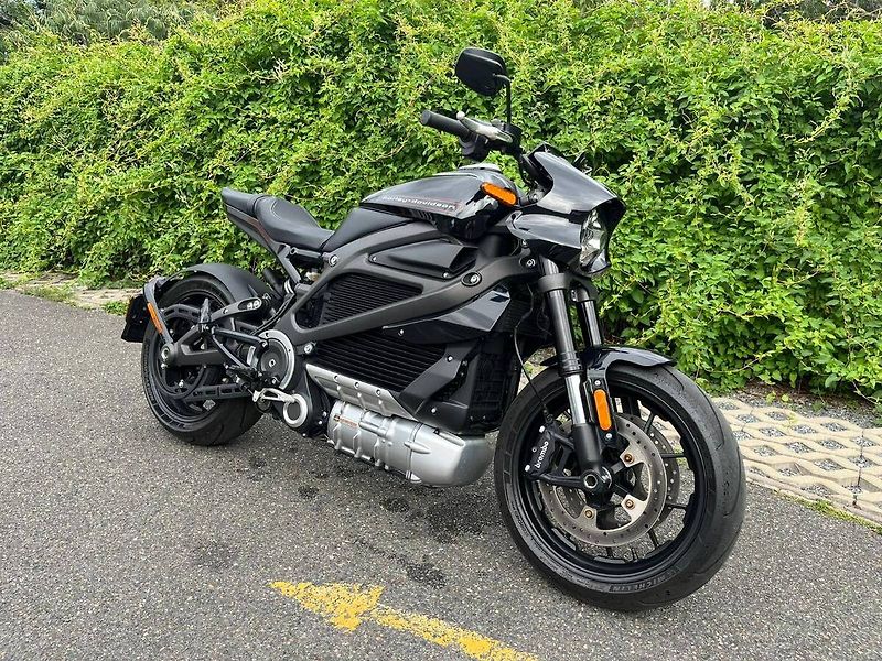 Harley-Davidson LiveWire ELW (2020) - fotka 1 z 17